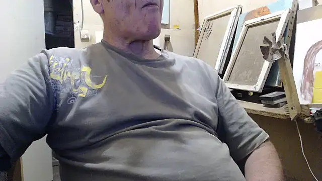 zemm54n Webbikameraesitys