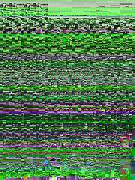 Poly_Nick Live XXX-chat