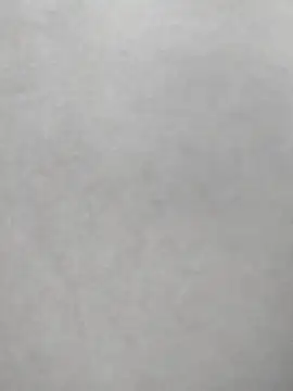 Show Webcam de Apresiaoo