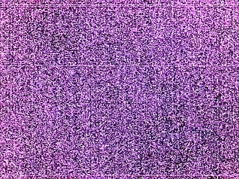 Show de webcam de elturcudito