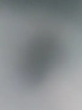 SolitaryMisfit8 webkamerás műsora