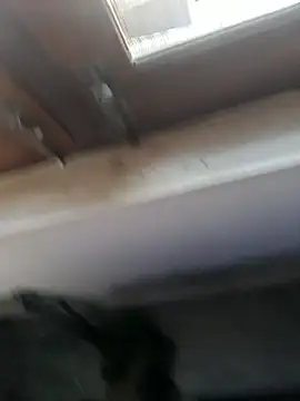 big_cock_9inchessn Webbikameraesitys