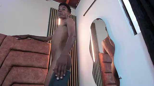 Tyson_Reedn Webbikameraesitys