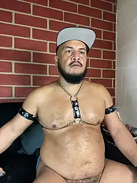 Chat XXX Live the_master_foal_