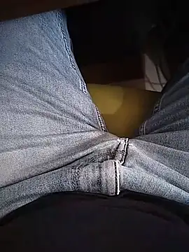 Show Webcam de karthikck3