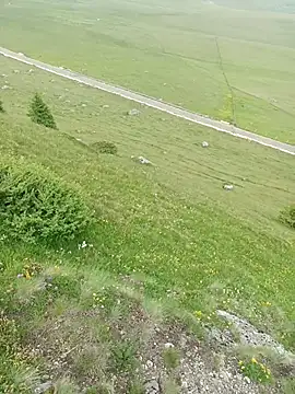 XXX chat uživo modela Saysomething3