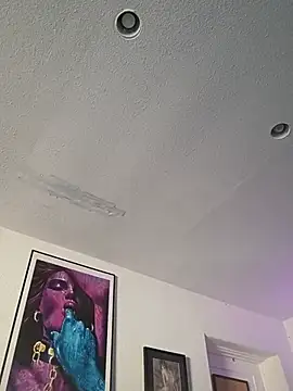 TheRealMrDLlong's Webcam Show