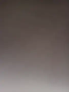Lippeee webkamerás műsora