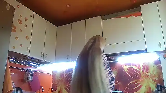 Chat +18 de Vexieeka ao vivo