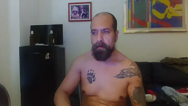 AMIRDIB2025 Pertunjukan Webcam