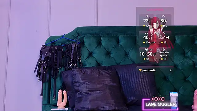Show Webcam de lanemugler