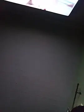 Lippeee's Webcam Show