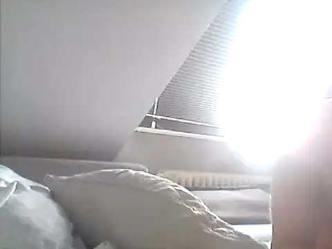 FleshlightFan Webcam-Show