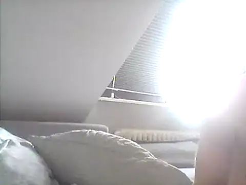 FleshlightFan 网络视讯表演
