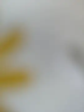 Chat XXX ao vivo de Neria