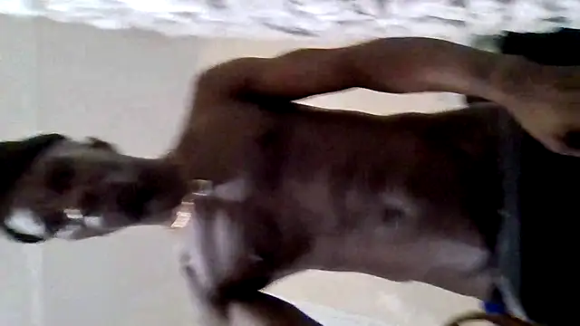 Show webcam de Shawtyblaque21