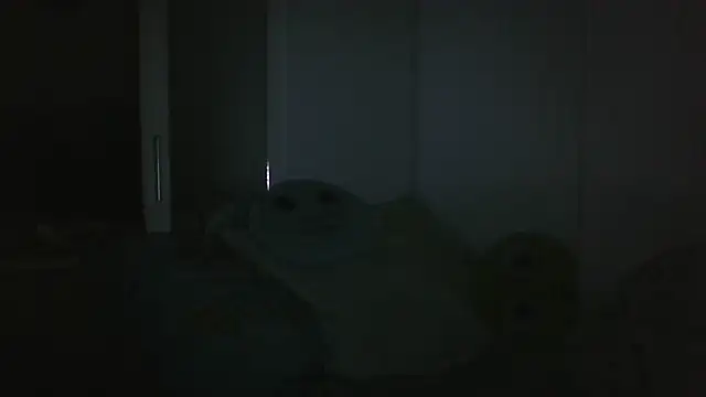 Вебкам-шоу vitalik66679