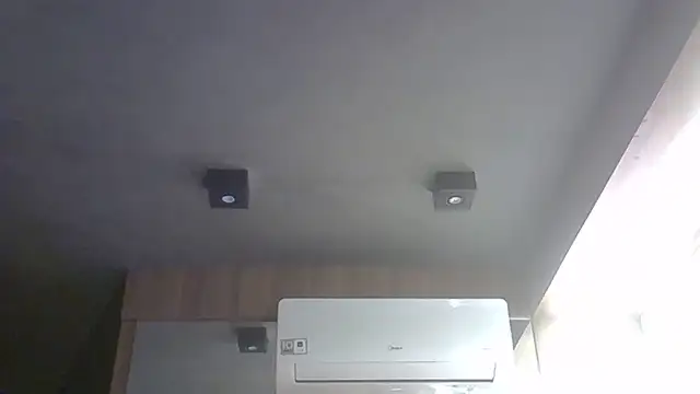 Show de webcam de SkinnyKitten