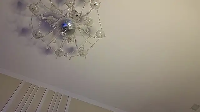 viksons Webcam Show