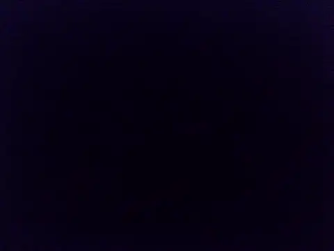 kisskittyX Live XXX-Chat