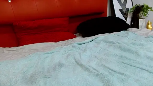 Вебкам-шоу bigcock_robert