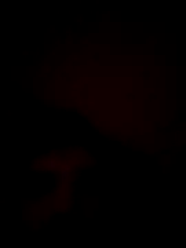 jota69xxx webcam show