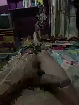عرض كام GoSas4Z-A