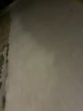 Show webcam de dzbenn