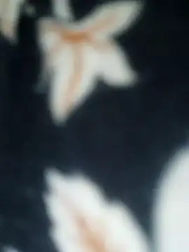 Sexynageena 现场XXX聊天