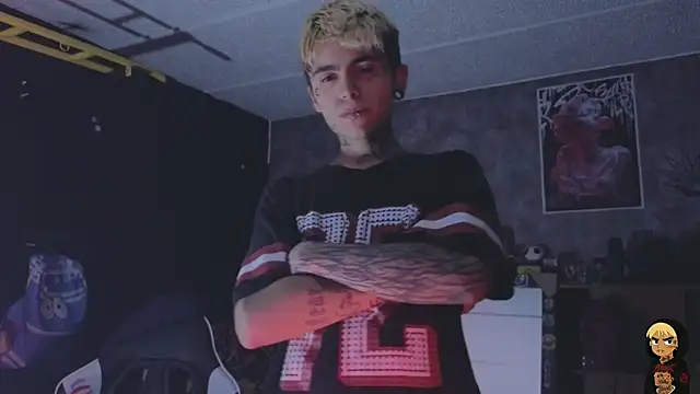 AcidMilo élő XXX-chatje