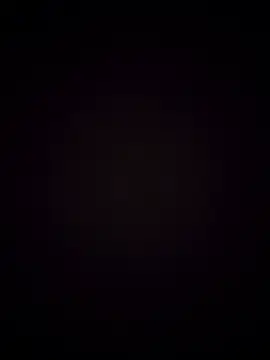 Show modela 00x0x00 na web-kameri