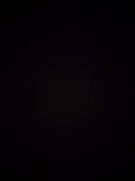 Show modela 00x0x00 na web-kameri