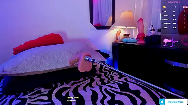 Venus_R0se Obrolan Langsung XXX