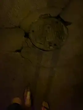 metro-2034 웹캠 쇼