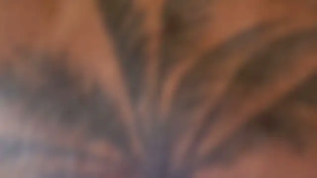 wild41 Live XXX-chat