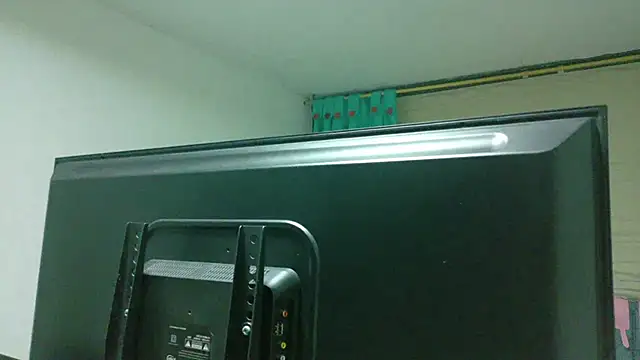 Roselle_Mochi webcam show