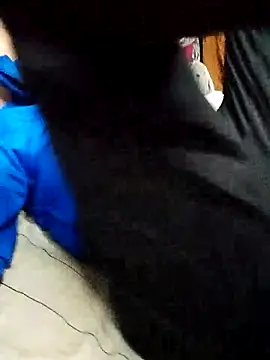 Moreno6969Rr Webcam Show