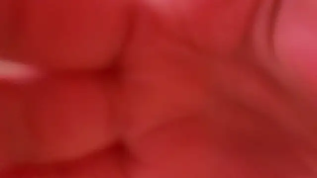 AveriReynolds Live XXX-chat