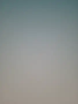 Lovensetest 网络视讯表演