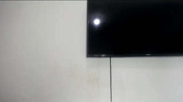 Show Webcam de Fox_Loves