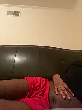 ThickDic28 Show in webcam