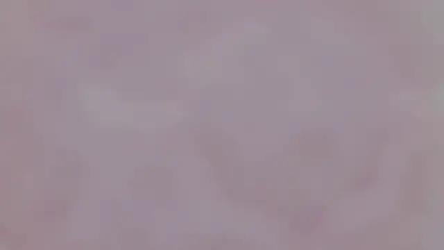 yang_12n Live XXX chat