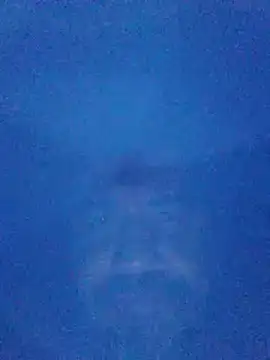 tarra122 现场XXX聊天