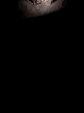 Jackdick1313 Webcam show