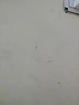 sexy_shital's Live XXX Chat