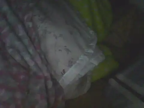 Bebita-zmp élő XXX-chatje