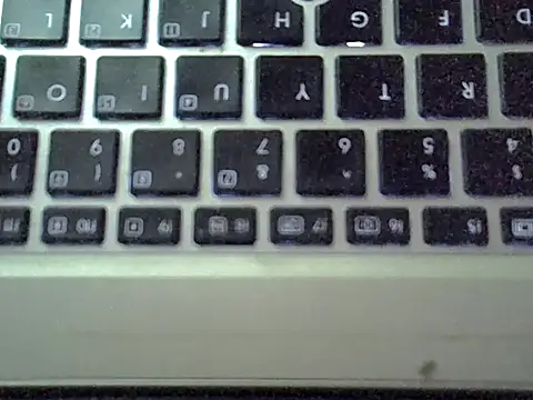 Delicious-D Live XXX-chat