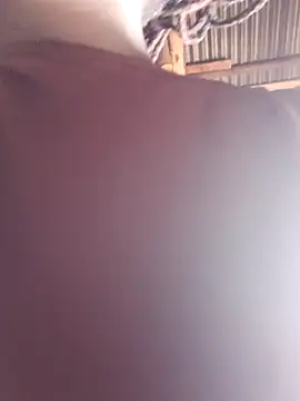 holygrail001's Live XXX Chat