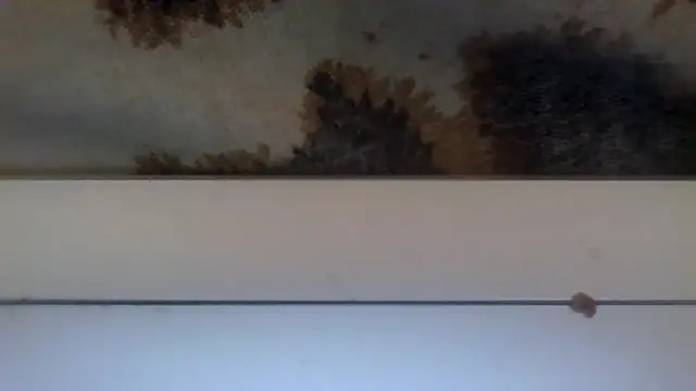 Živý XXX chat Kittykateie