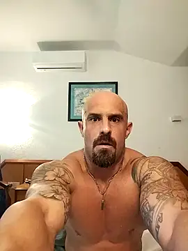 Show webcam de Visto36